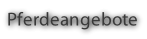 Pferdeangebote